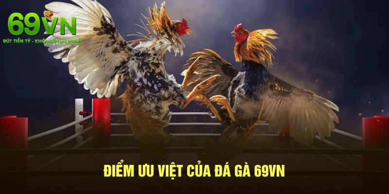 Ưu điểm vượt bậc của đá gà 69VN